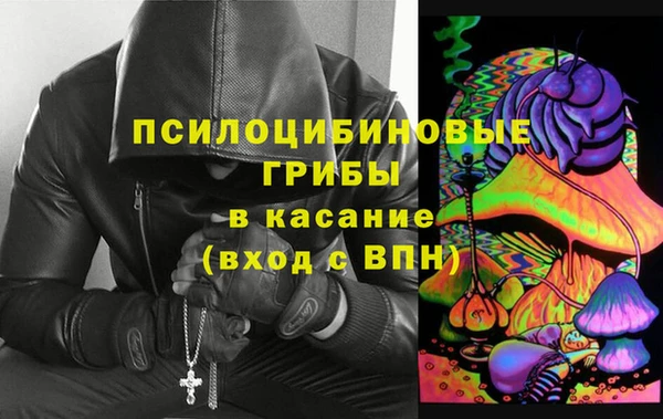 индика Абинск