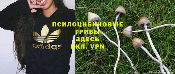 индика Абинск