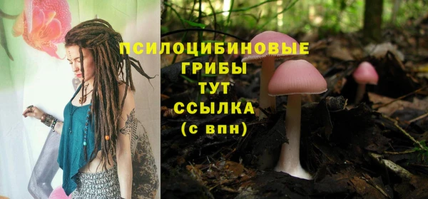 jwh Абаза