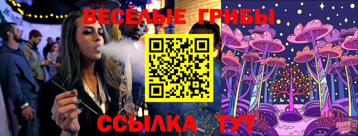 Галлюциногенные грибы GOLDEN TEACHER Новоалтайск