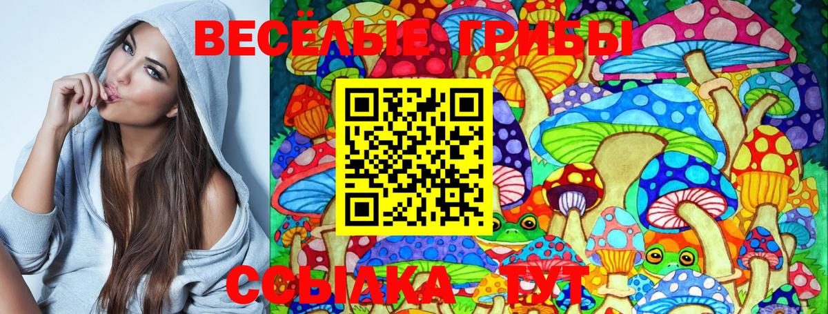 Галлюциногенные грибы Psilocybine cubensis  Псилоцибиновые грибы MAGIC MUSHROOMS  Новоалтайск  Вход с VPN 